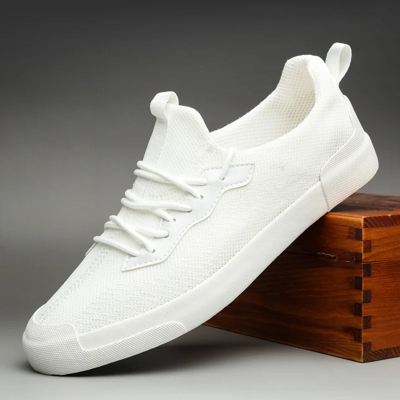 45970777211139|45970777538819|45970777637123|45970777669891|45970777702659|45970777735427